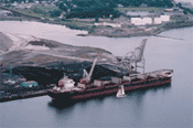 pev dock
